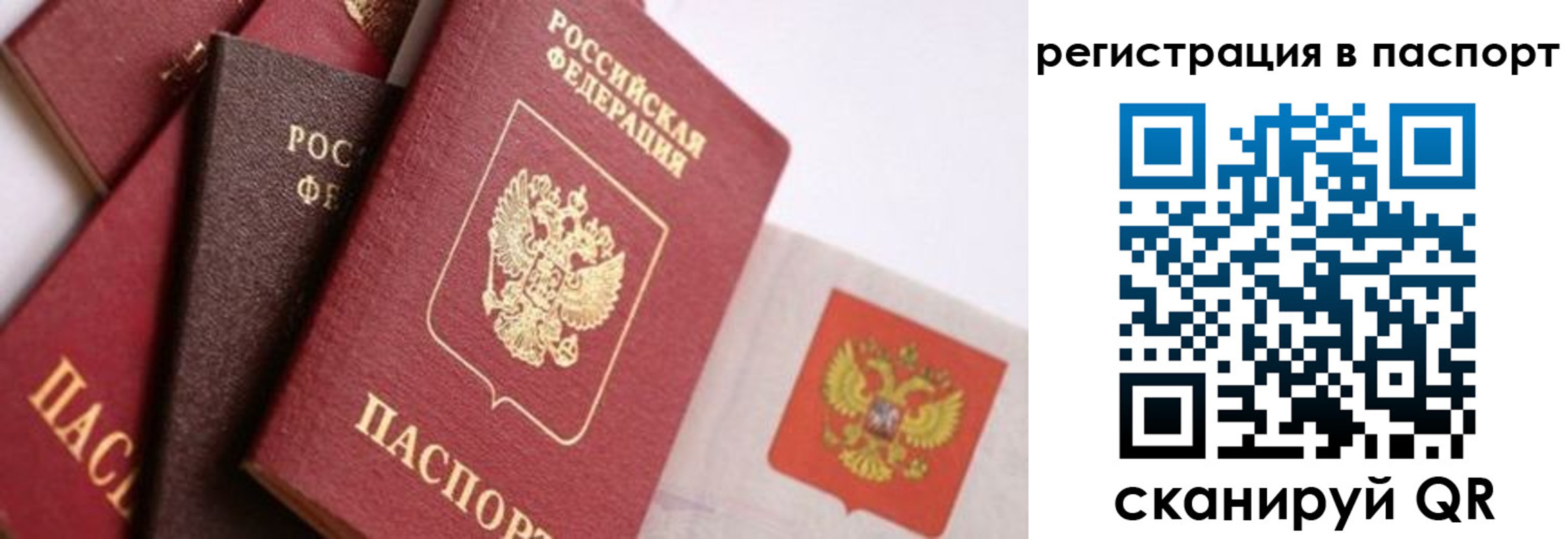 прописка в квартире в Котово